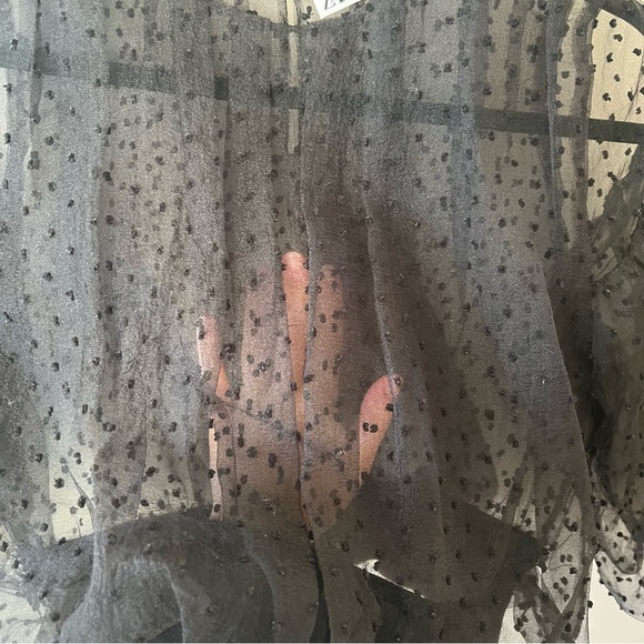 Zara Sheer Black Polka Dot Blouse - Picture 4 of 8